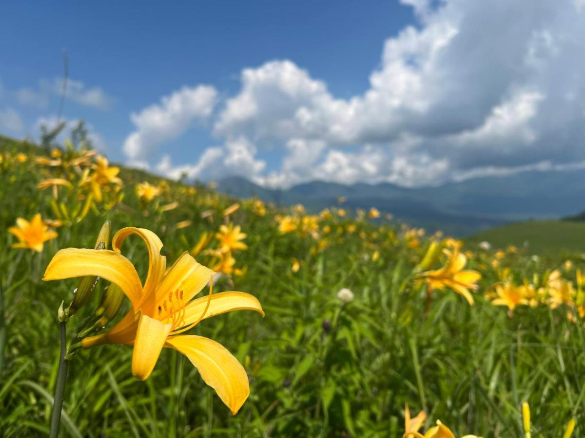 Pension Wildflowers Tateshina  Eksteriør billede