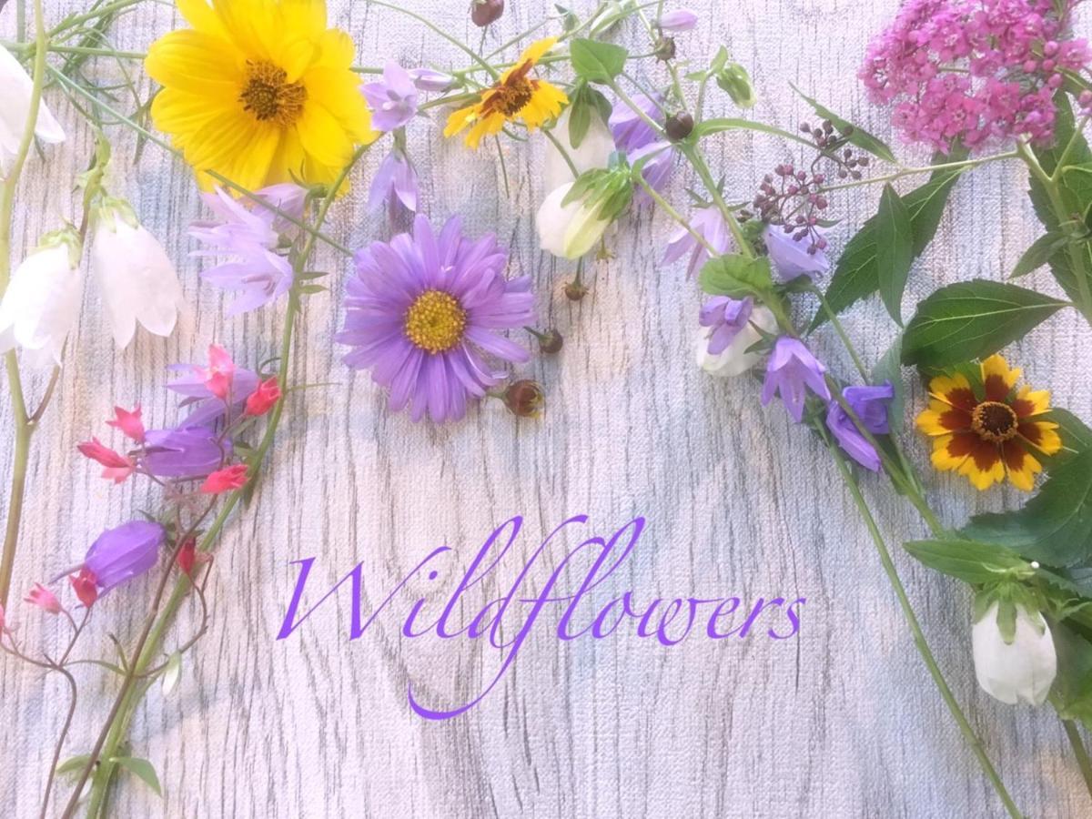 Pension Wildflowers Tateshina  Eksteriør billede