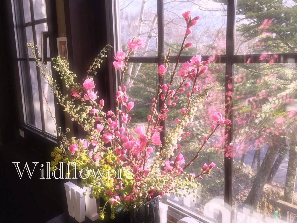 Pension Wildflowers Tateshina  Eksteriør billede