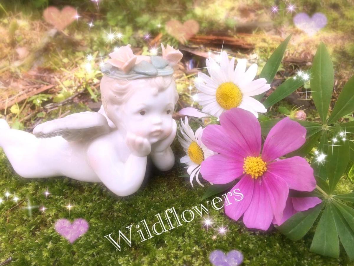 Pension Wildflowers Tateshina  Eksteriør billede